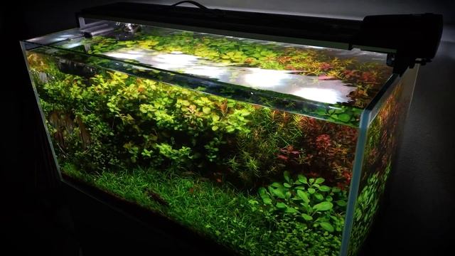 Импортозамещение. Кондиционеры для водоподготовки смотреть онлайн