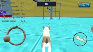 Cat Simulator: Kitty Craft 1# магазин