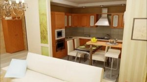 Кухня совмещенная с гостинной