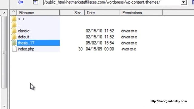 Installing the SEO friendly Thesis 1.7 in HostGato смотреть онлайн