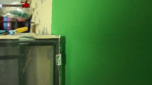 Термокамера своими руками для 3d Принтера