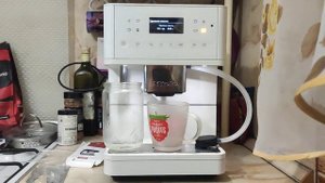 Бесконечная очистка от накипи кофемашины Miele CM6160