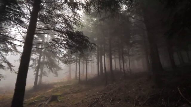 Борраска. Часть 2 | Ребекка Клингел | История на ночь смотреть онлайн