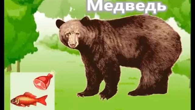 Что кушают животные? - лучший развивающий мультик для самых маленьких детей о животных смотреть онлайн