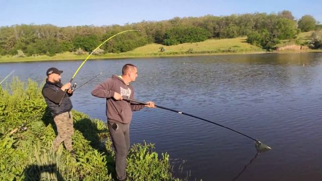 Мега большой толстолоб на 12 кг смотреть онлайн