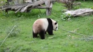 Изучаем города и страны. Выпуск №1 Китай