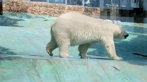 Сафари-парк Олимп🦌🐻🦜🦚Геленджик❤️