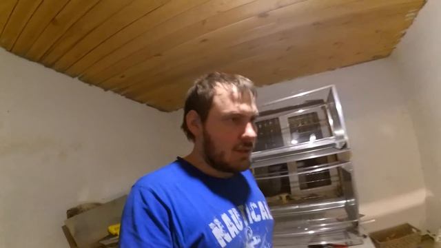 Перепела техасской породы ... или нет