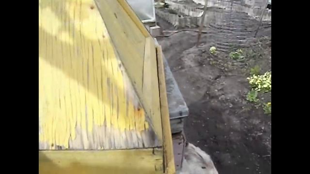 роение пчел - привой для прививания вышедшего из улья роя смотреть онлайн