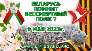 Что именно Беларусь помнит? Гвардейскую ленту заменили на яблоню. День Победы в Белоруссии 2023г.