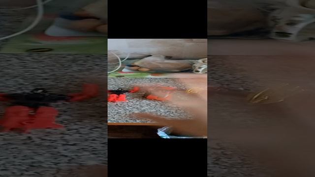 Красный цвет смотреть онлайн