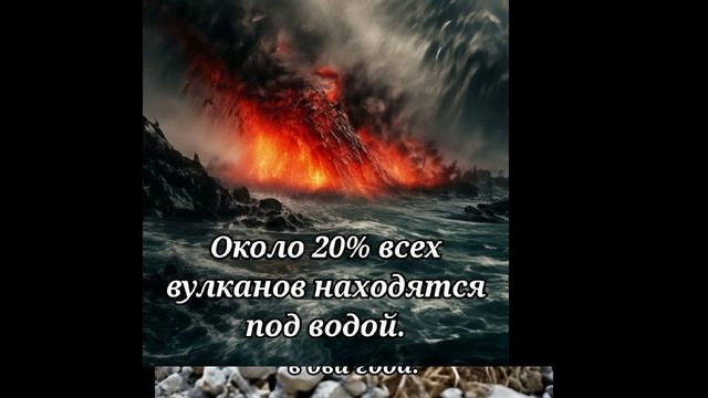интересные факты обо всём