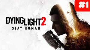 Play Dying Light 2 Stay Human дейлинг лайт 2 зомби выживалка