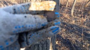 КОП с Minelab Vanquish 340 #металлоискатель #копатели #находки #minelab_vanquish