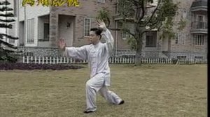 15-24 формы из Тайцзи 24 формы. Tai Chi The 24 Forms (15-24). Учебный ролик 4.1/4.