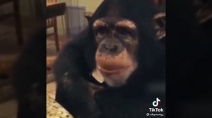 когда зарплата?