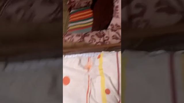 Бабочка... Зимой!? смотреть онлайн