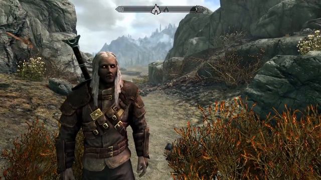Skyrim Witcher Build смотреть онлайн