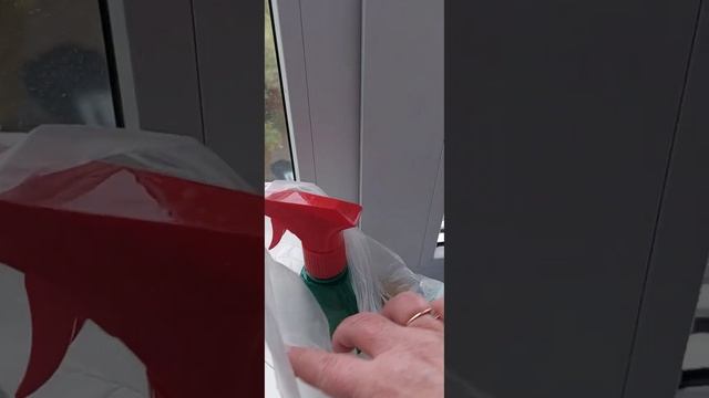 Орхидеи.Опрыснула фитовермом. смотреть онлайн