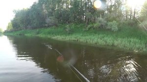 ПО 10 АТАК НА ПРОВОДКЕ, ПОППЕР И ВООКЕР В ТРАВЕ! Вечерний джиг! Щука,окунь. Рыбалка на Оби.