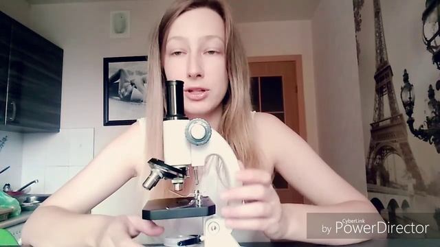 Паразиты рептилий - анализы дома смотреть онлайн