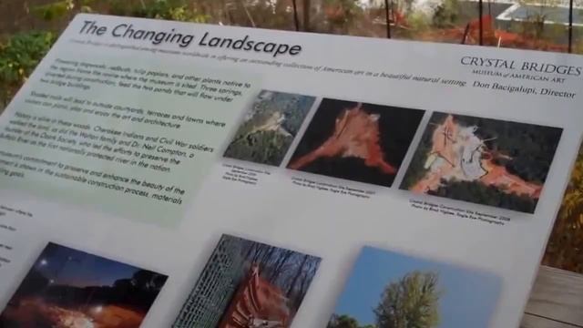 Скоростные "гонки на велосипедах" Смотрим гонки на велосипедах в лесу.Все видео гонки тут смотреть онлайн