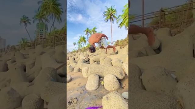 Instagram Viral Reels Video | Shahbaz Khan | Raja UDC | Aakash Parkour | Mahesh VK | Manny Flipper