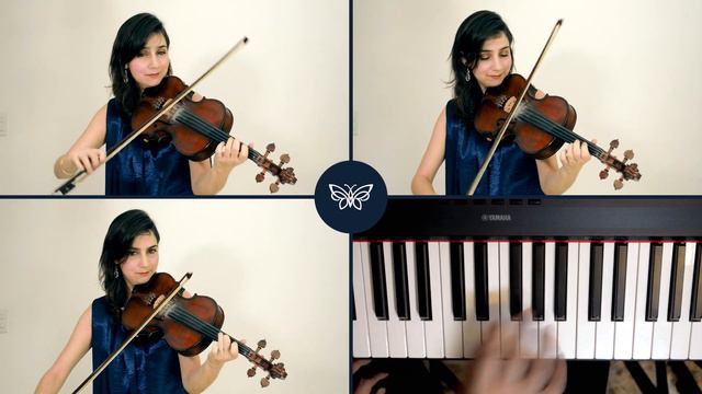 THE BUTTERFLY  IRISH MUSIC in a STRING QUARTET