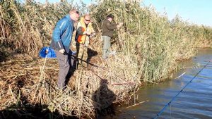 Едем на рыбалку. Астрахань, река «Рытный Банк», сентябрь 2023 года