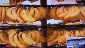 Возможен запрет на ввоз продуктов из Белоруссии