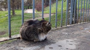 Псков. Прогулка по городу. Неизвестные достопримечательности.