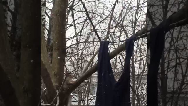 ❄️Зима близко, раз белка подготавливает подштанники.