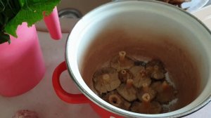 Как засолосить волнушки?Мой рецепт соления волнушек.Соленые волнушки.Готовим с Яной.Влог из Эстонии