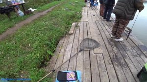 "ТИХАЯ ЗАВОДЬ" д. Дулово. Шикарный улов форели на спиннинг.