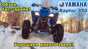 Yamaha Raptor 350, обзор и тест-драйв квадроцикла. Укрощаем дикого зверя!  Скийоринг.