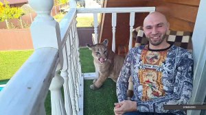 Прямой эфир. 10 октября