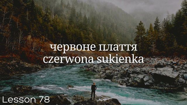 Польська мова за 100 уроків. Польські слова та фрази. Польська з нуля. Польська мова. Частина 78