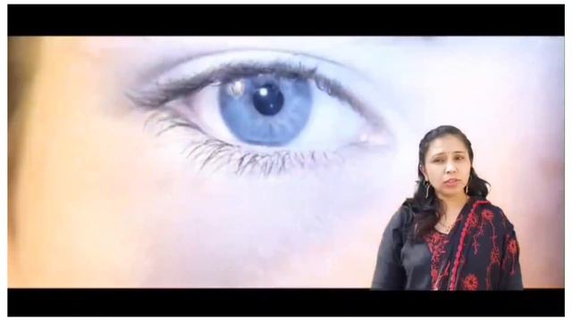 36. Human Eye Structure смотреть онлайн