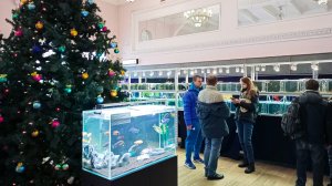 Выставка аквариумных рыбок 06 01 23