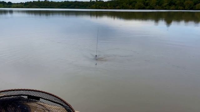 РЫБАЛКА НА ФЛЕТ ФИДЕР В сентябре 2021/КАРПФИШИНГ/водоем КАРПЛИДЕР/АМУР/Carp Pro/Caperlan смотреть онлайн