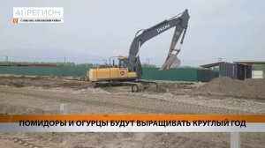 ПОМИДОРЫ И ОГУРЦЫ БУДУТ ВЫРАЩИВАТЬ КРУГЛЫЙ ГОД • НОВОСТИ КАМЧАТКИ