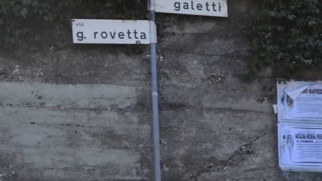 Как собирают оливки в Италии смотреть онлайн