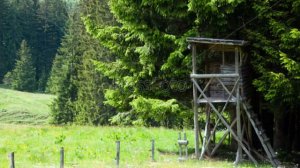 Уровень 79-Смотровая вышка перезолив с ютуба