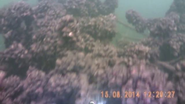 Подводная охота на судака днем!!!Поиски судака!! смотреть онлайн