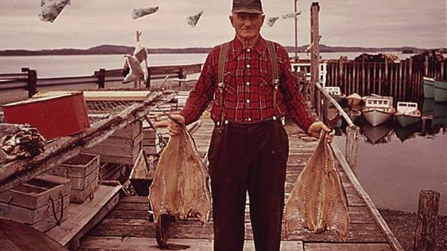 Fishing industry in Canada | Wikipedia audio article смотреть онлайн