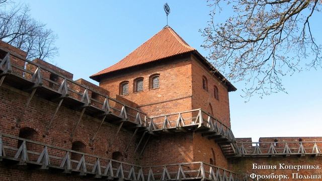История Нового времени. #09. Развитие науки в XVI – XVIII веках