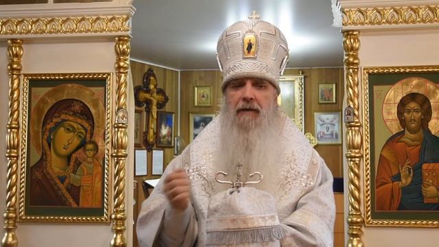Проповедь Преосвященного Мефодия «Праздник епископа Лазаря, бывшего покойником» смотреть онлайн