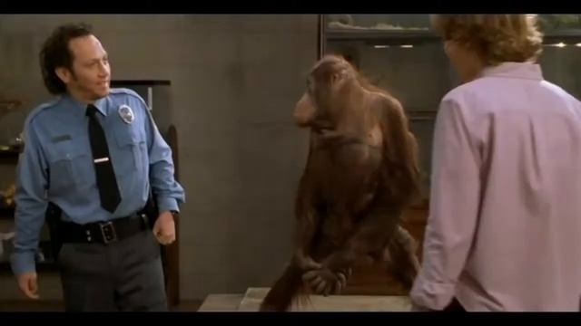 Сергей Савельев - инстинкты и сила воли человека смотреть онлайн