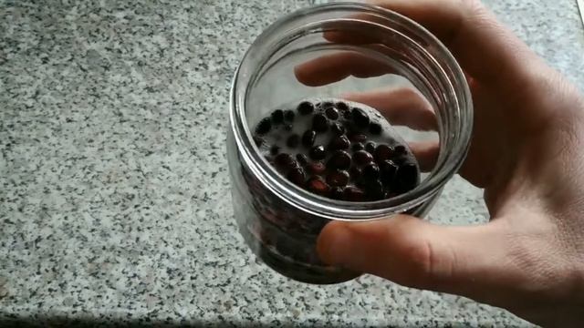 Проращивание кедровых орехов смотреть онлайн