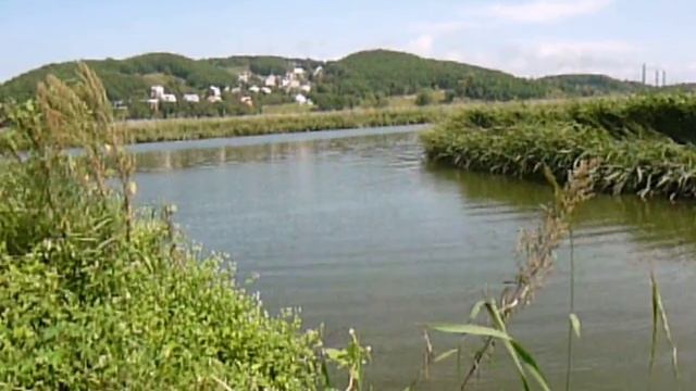 кастинговая сеть полуметровая рыба ИГЛА смотреть онлайн